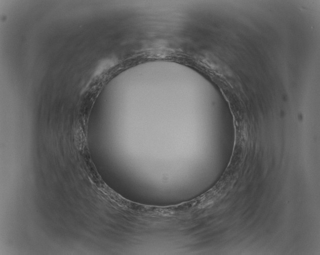 X0000062911446200601181207