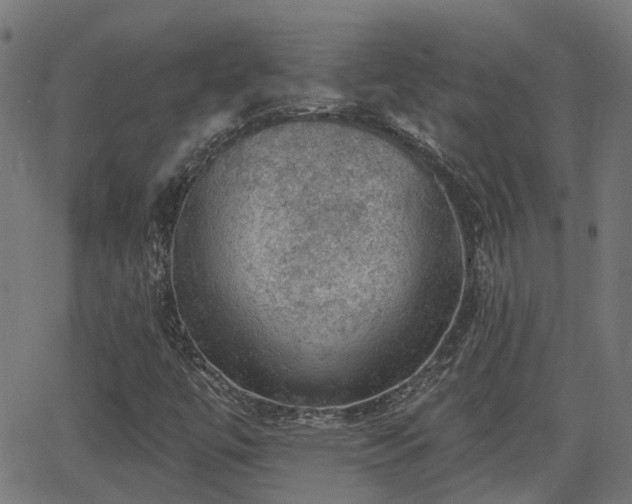 X0000062911447200601181207