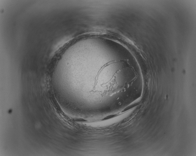 X0000062911448200601181207