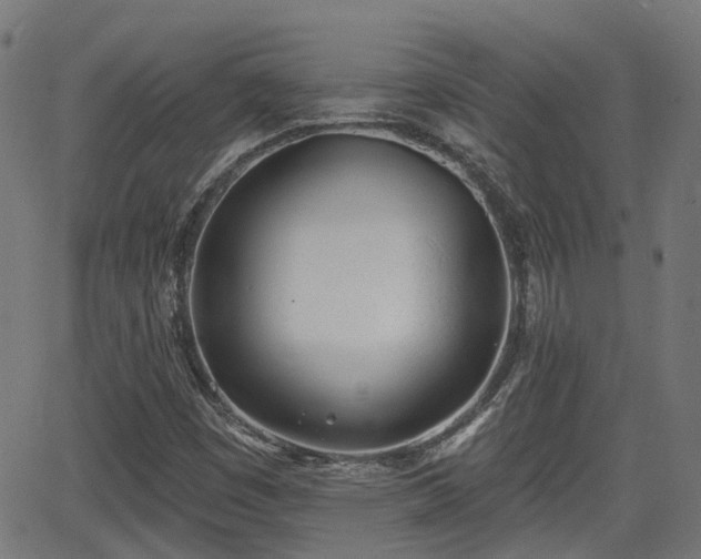 X0000062911449200601181207