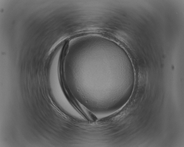 X0000062911450200601181207