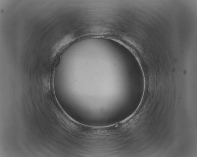 X0000062911451200601181207