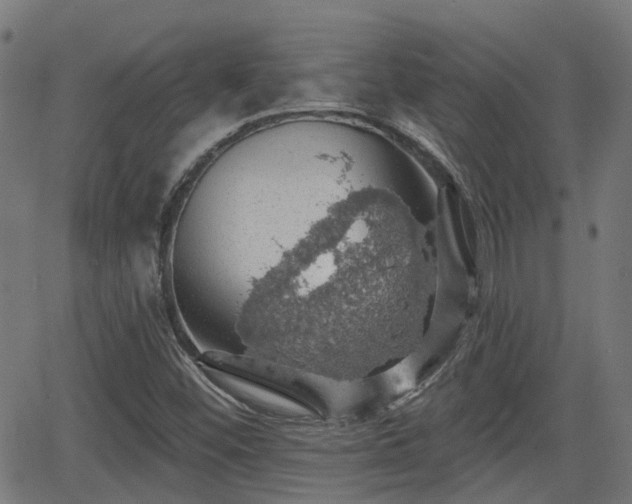 X0000062911452200601181207