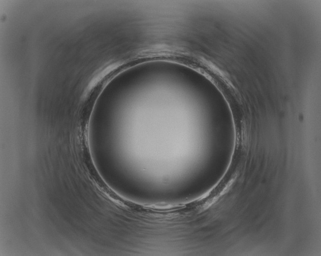 X0000062911453200601181207