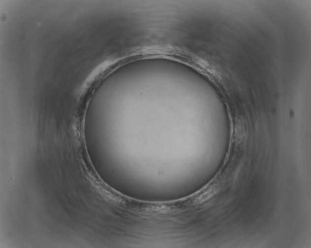 X0000062911454200601181207