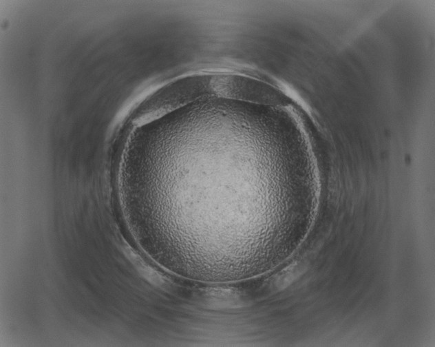 X0000062911456200601181207