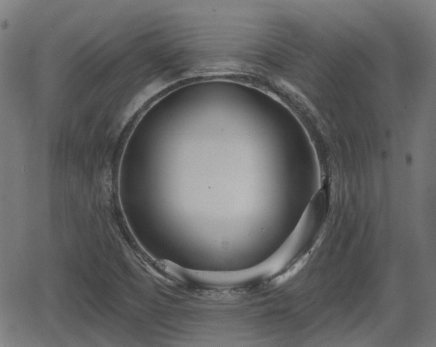 X0000062911457200601181207