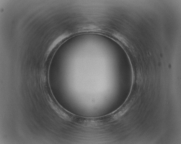 X0000062911458200601181207