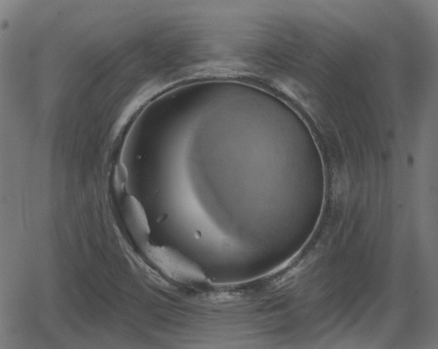 X0000062911459200601181207