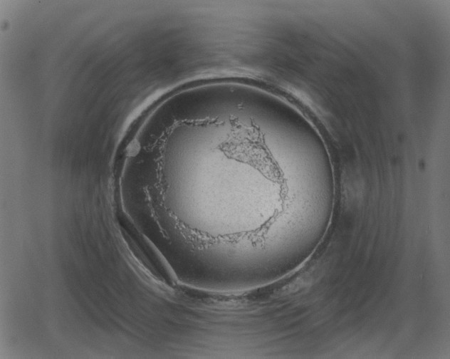 X0000062911460200601181207