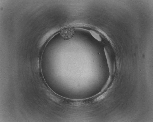 X0000062911461200601181207