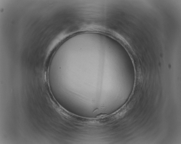 X0000062911462200601181207