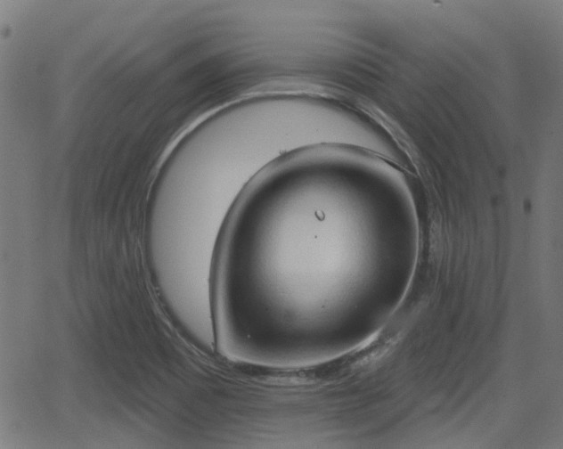 X0000062911465200601181207