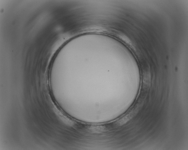 X0000062911466200601181207