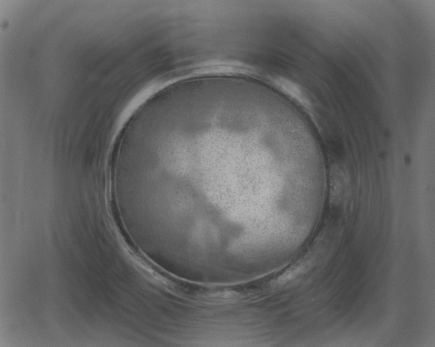 X0000062911467200601181207