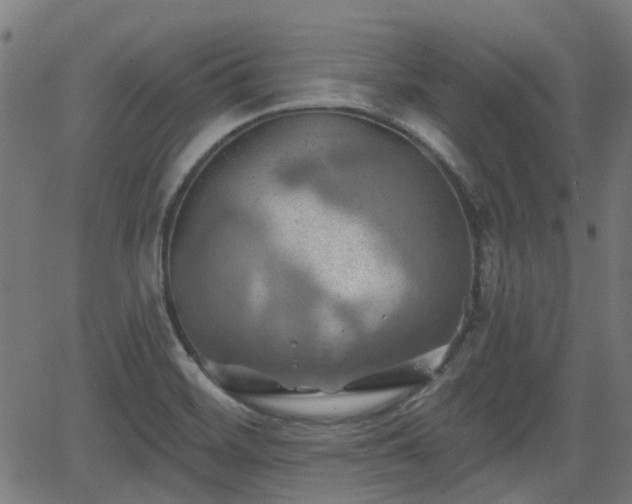 X0000062911468200601181207