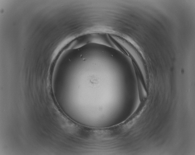 X0000062911469200601181207