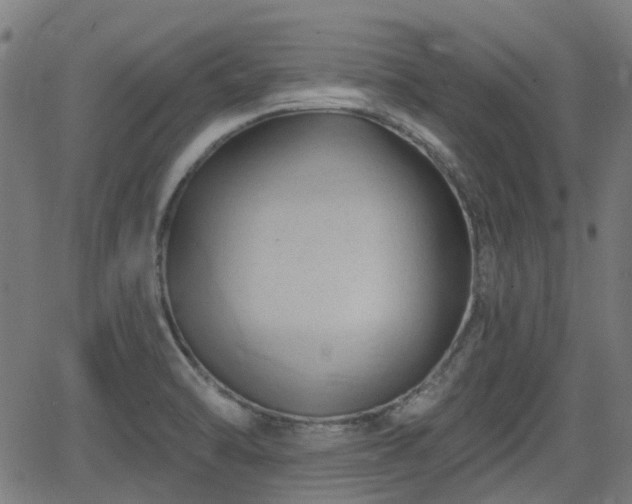 X0000062911470200601181207