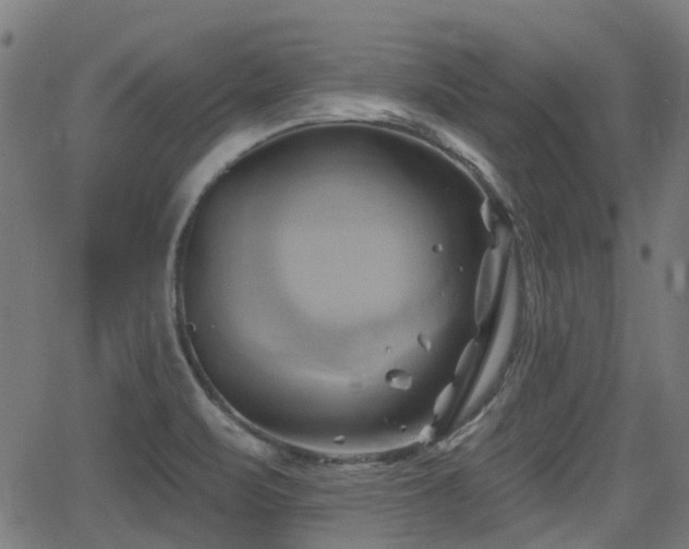 X0000062911471200601181207