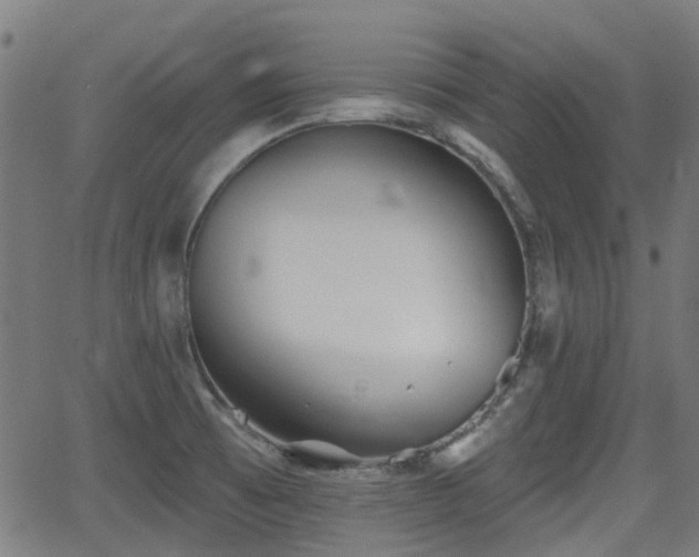 X0000062911473200601181207