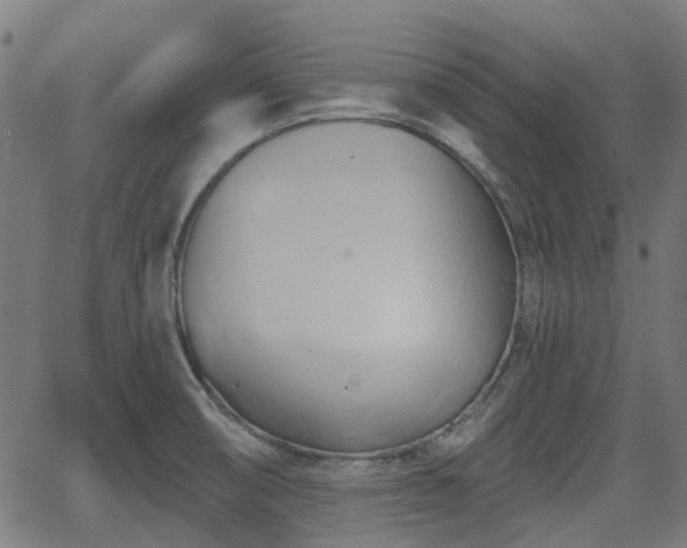 X0000062911474200601181207