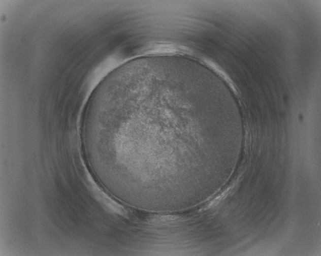 X0000062911475200601181207