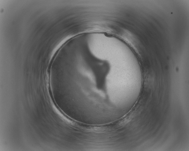 X0000062911476200601181207