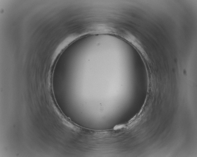 X0000062911477200601181207