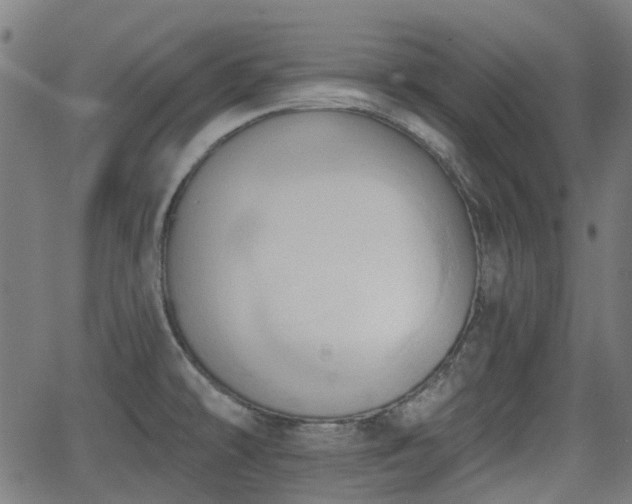 X0000062911478200601181207