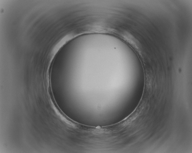 X0000062911479200601181207