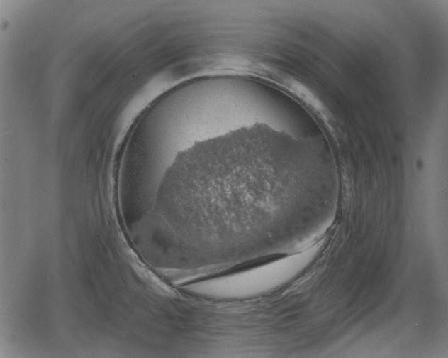 X0000062911480200601181207