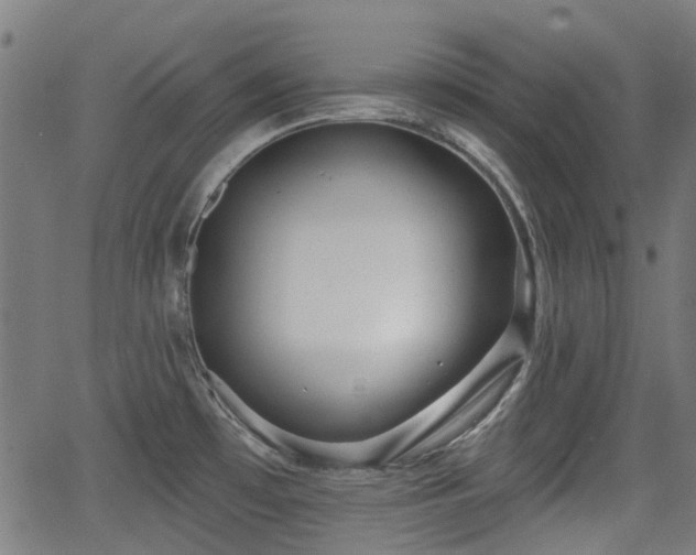 X0000062911481200601181207