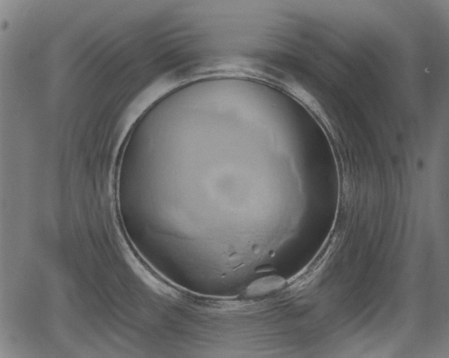 X0000062911482200601181207