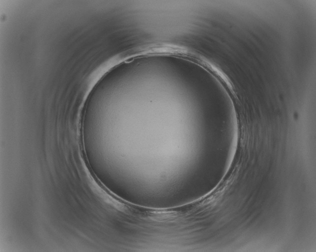 X0000062911483200601181207