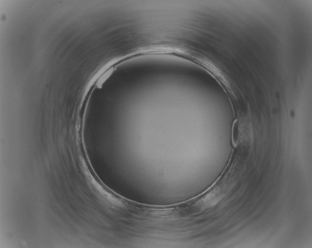 X0000062911484200601181207