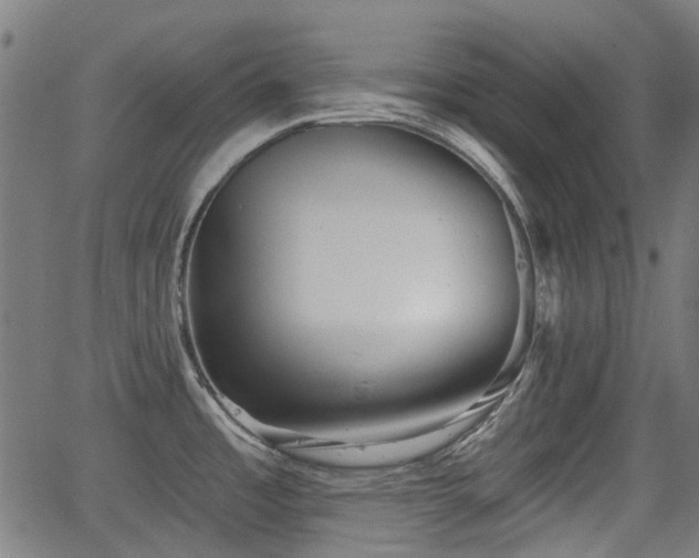 X0000062911485200601181207