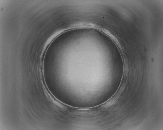 X0000062911486200601181207