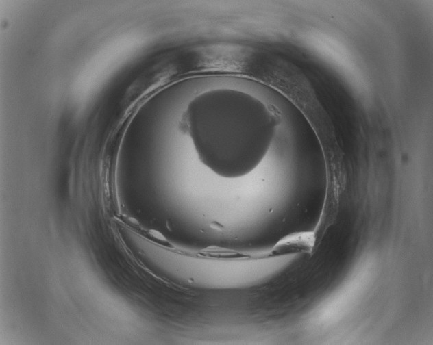 X0000062911487200601181207