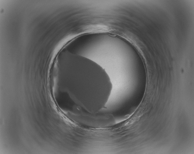 X0000062911488200601181207