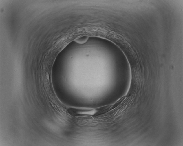 X0000062911489200601181206