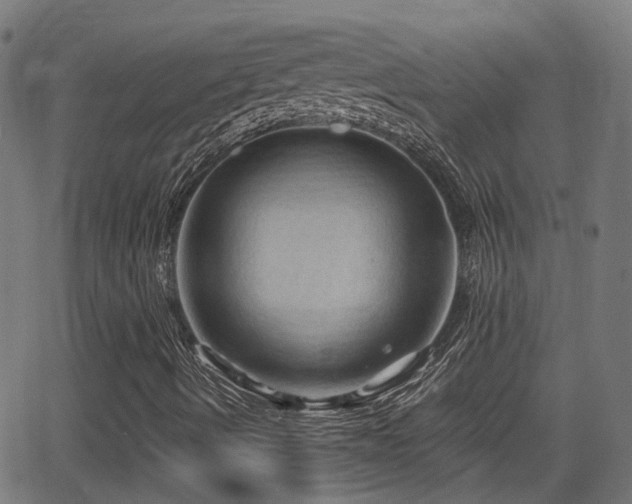 X0000062911490200601181206