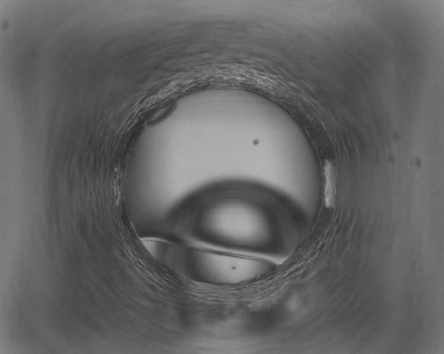 X0000062911491200601181206