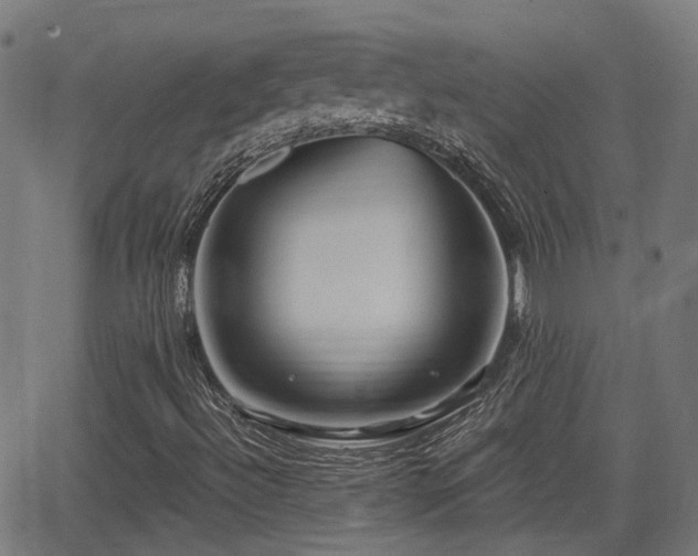 X0000062911492200601181206