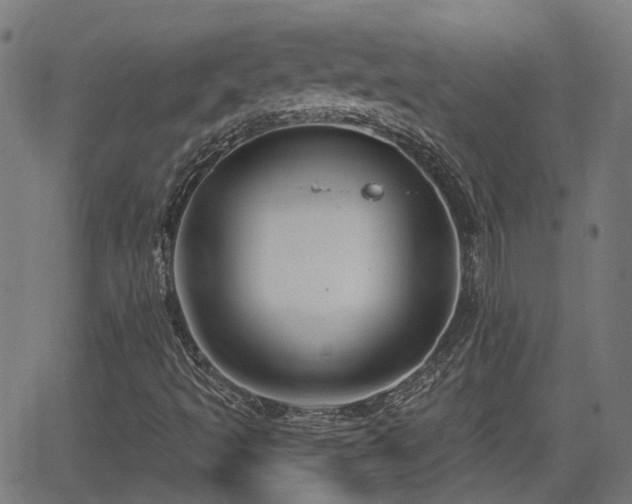 X0000062911493200601181206