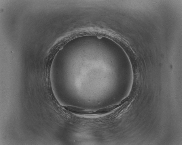 X0000062911494200601181206