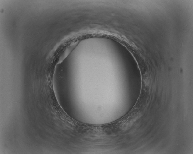 X0000062911495200601181206