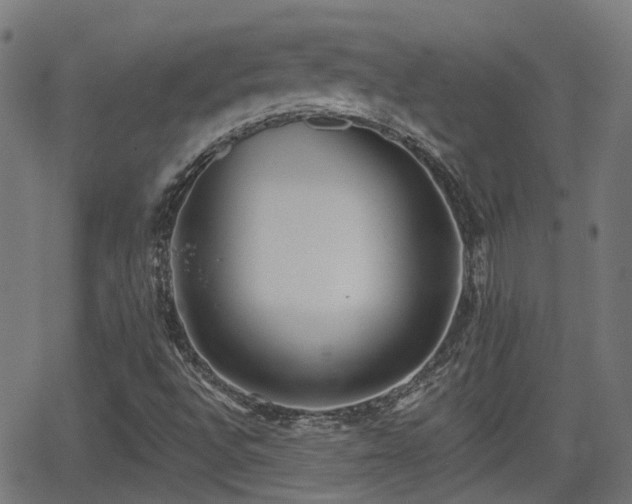 X0000062911496200601181206