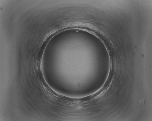 X0000062911497200601181206