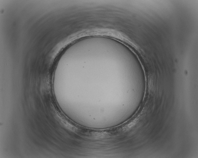 X0000062911498200601181206