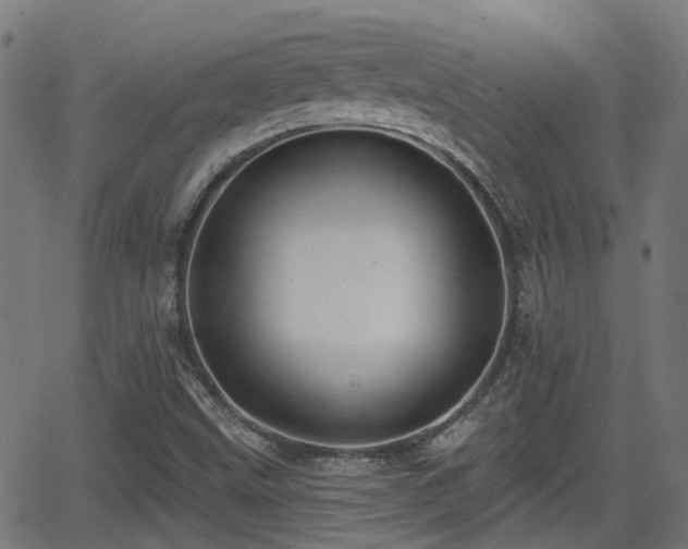 X0000062911499200601181206